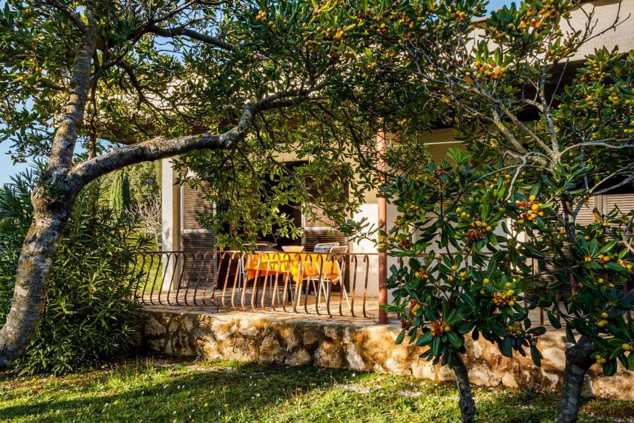 Helios Sunny Apartments By Valamar Stari Grad  Zewnętrze zdjęcie